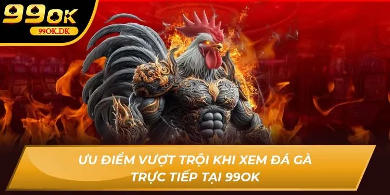 Ưu điểm vượt trội khi xem đá gà trực tiếp tại 99OK